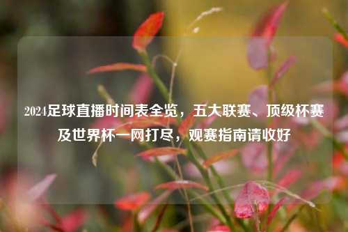 2024足球直播时间表全览，五大联赛、顶级杯赛及世界杯一网打尽，观赛指南请收好