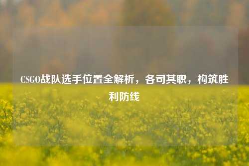 CSGO战队选手位置全解析,各司其职,构筑胜利防线