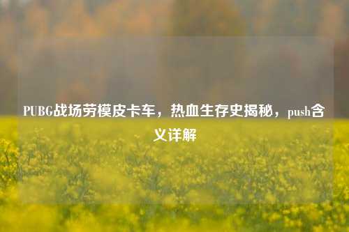 PUBG战场劳模皮卡车，热血生存史揭秘，push含义详解