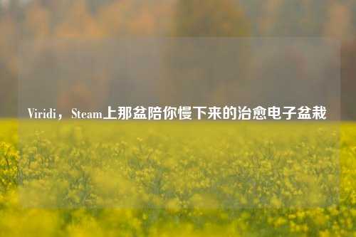 Viridi,Steam上那盆陪你慢下来的治愈电子盆栽