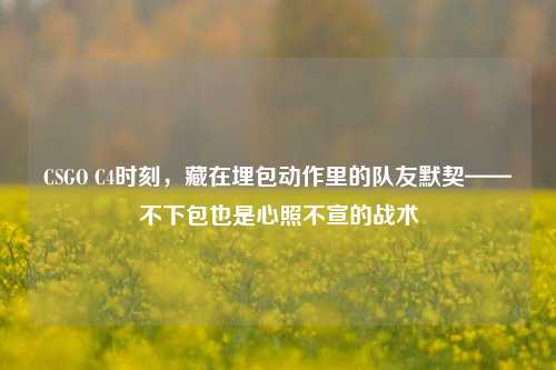 CSGO C4时刻，藏在埋包动作里的队友默契——不下包也是心照不宣的战术