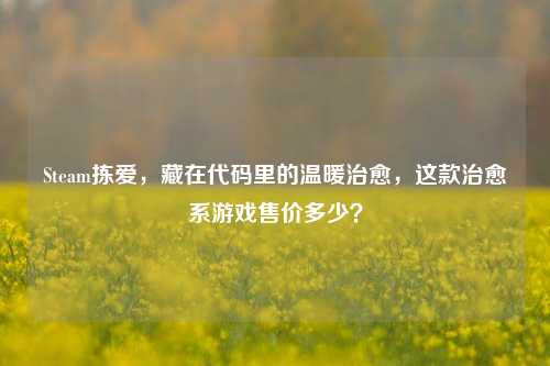 Steam拣爱,藏在代码里的温暖治愈,这款治愈系游戏售价多少?