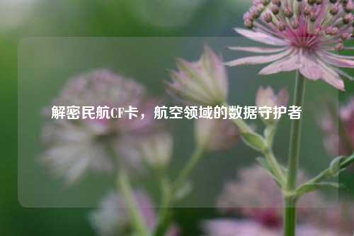 解密民航CF卡，航空领域的数据守护者