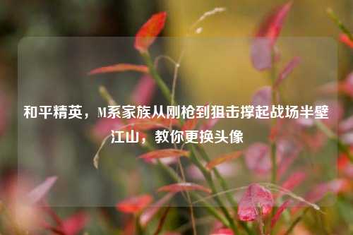 和平精英，M系家族从刚枪到狙击撑起战场半壁江山，教你更换头像