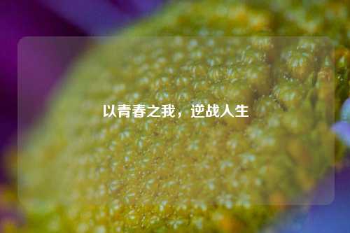 以青春之我,逆战人生