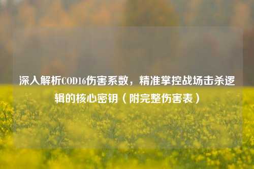 深入解析COD16伤害系数，精准掌控战场击杀逻辑的核心密钥（附完整伤害表）
