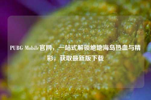PUBG Mobile官网，一站式解锁绝地海岛热血与精彩，获取最新版下载