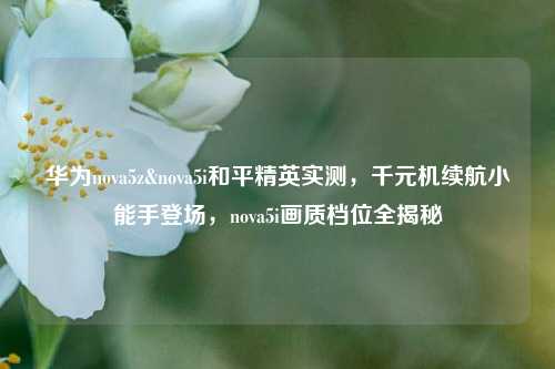 华为nova5z&nova5i和平精英实测，千元机续航小能手登场，nova5i画质档位全揭秘