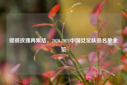 铿锵玫瑰再集结，2020-2021中国女足队员名单全览