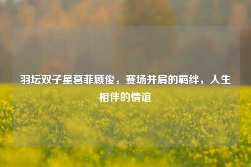 羽坛双子星葛菲顾俊,赛场并肩的羁绊,人生相伴的情谊
