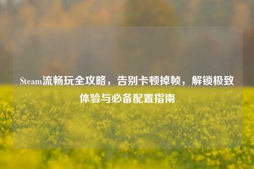 Steam流畅玩全攻略,告别卡顿掉帧,解锁极致体验与必备配置指南