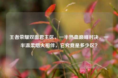 王者荣耀双面君主区，一半热血巅峰对决，一半温柔烟火相伴，它究竟是多少区？