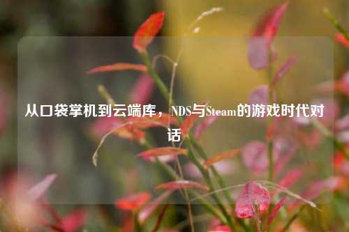 从口袋掌机到云端库，NDS与Steam的游戏时代对话