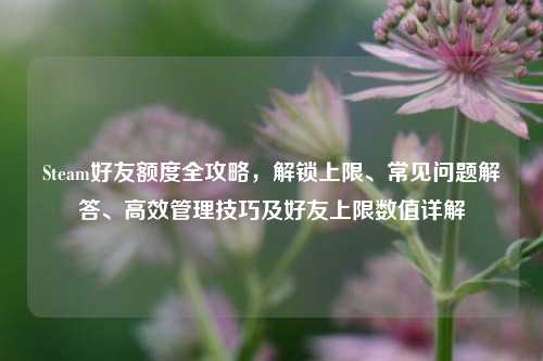 Steam好友额度全攻略，解锁上限、常见问题解答、高效管理技巧及好友上限数值详解