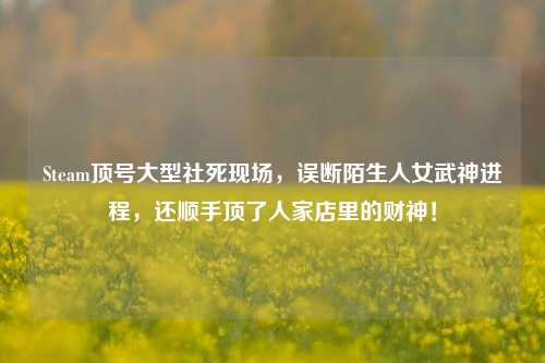 Steam顶号大型社死现场，误断陌生人女武神进程，还顺手顶了人家店里的财神！
