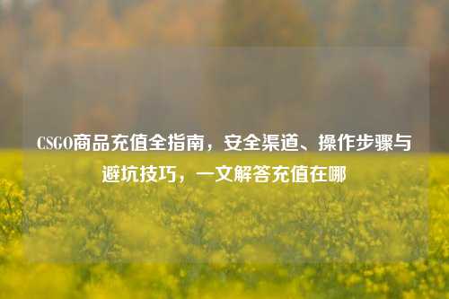 CSGO商品充值全指南,安全渠道、操作步骤与避坑技巧,一文解答充值在哪