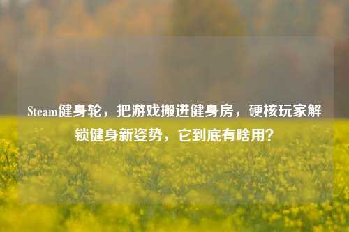 Steam健身轮，把游戏搬进健身房，硬核玩家解锁健身新姿势，它到底有啥用？