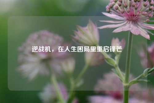 逆战机，在人生困局里重启锋芒