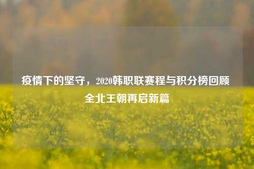 疫情下的坚守,2020韩职联赛程与积分榜回顾 全北王朝再启新篇
