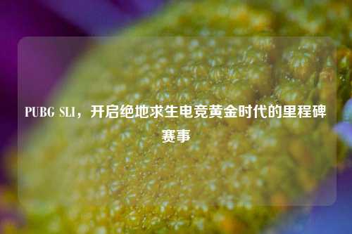 PUBG SLI,开启绝地求生电竞黄金时代的里程碑赛事