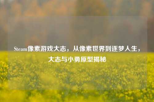Steam像素游戏大志，从像素世界到逐梦人生，大志与小勇原型揭秘