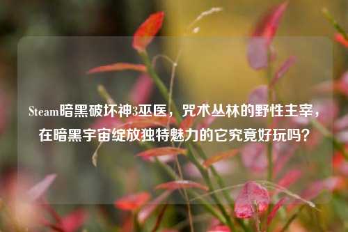 Steam暗黑破坏神3巫医，咒术丛林的野性主宰，在暗黑宇宙绽放独特魅力的它究竟好玩吗？