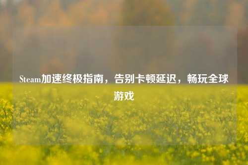 Steam加速终极指南，告别卡顿延迟，畅玩全球游戏