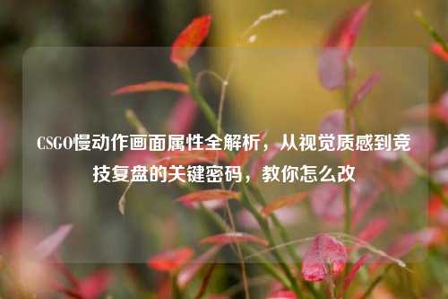 CSGO慢动作画面属性全解析，从视觉质感到竞技复盘的关键密码，教你怎么改