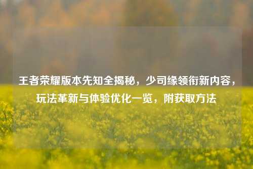 王者荣耀版本先知全揭秘,少司缘领衔新内容,玩法革新与体验优化一览,附获取方法