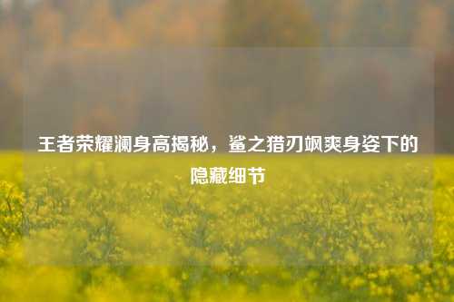 王者荣耀澜身高揭秘，鲨之猎刃飒爽身姿下的隐藏细节
