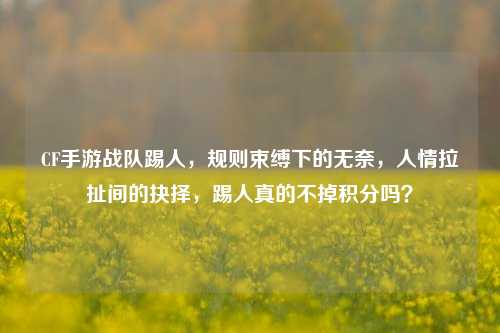 CF手游战队踢人,规则束缚下的无奈,人情拉扯间的抉择,踢人真的不掉积分吗?