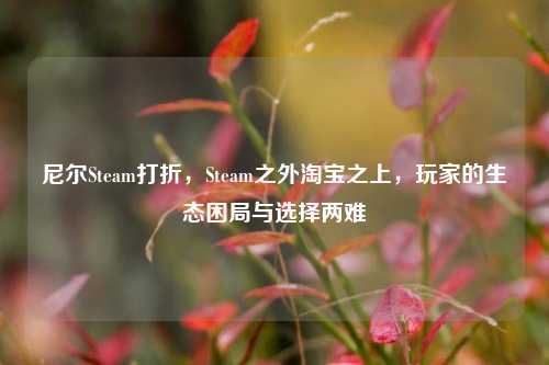 尼尔Steam打折，Steam之外淘宝之上，玩家的生态困局与选择两难