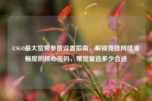 CSGO最大宽带参数设置指南，解锁竞技网络流畅度的核心密码，带宽量选多少合适