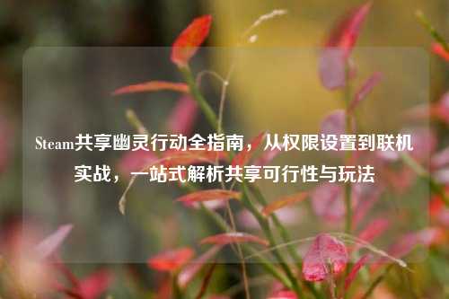 Steam共享幽灵行动全指南,从权限设置到联机实战,一站式解析共享可行性与玩法