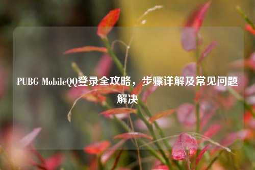 PUBG MobileQQ登录全攻略,步骤详解及常见问题解决