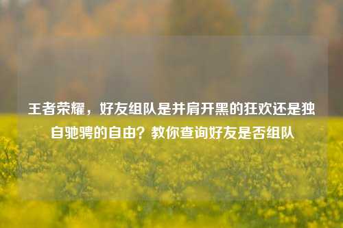 王者荣耀,好友组队是并肩开黑的狂欢还是独自驰骋的自由?教你查询好友是否组队