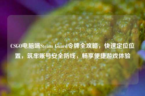 CSGO电脑端Steam Guard令牌全攻略,快速定位位置,筑牢账号安全防线,畅享便捷游戏体验