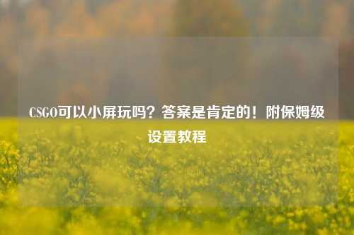 CSGO可以小屏玩吗？答案是肯定的！附保姆级设置教程