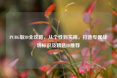 PUBG取ID全攻略，从个性到实用，打造专属战场标识及精选ID推荐