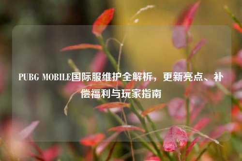 PUBG MOBILE国际服维护全解析,更新亮点、补偿福利与玩家指南