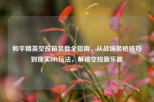 和平精英空投箱装载全指南,从战场装枪技巧到现实DIY玩法,解锁空投新乐趣