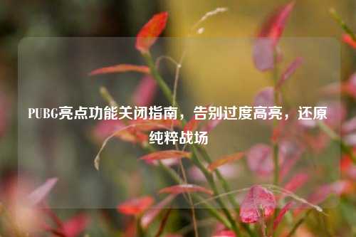 PUBG亮点功能关闭指南，告别过度高亮，还原纯粹战场