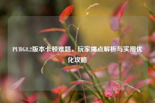 PUBG8.2版本卡顿难题,玩家痛点解析与实用优化攻略