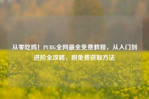 从零吃鸡!PUBG全网最全免费教程,从入门到进阶全攻略,附免费获取方法
