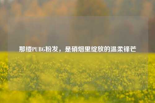 那缕PUBG粉发,是硝烟里绽放的温柔锋芒
