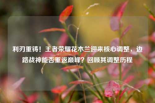 利刃重铸!王者荣耀花木兰迎来核心调整,边路战神能否重返巅峰?回顾其调整历程
