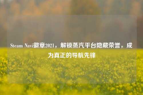 Steam Navi徽章2021，解锁蒸汽平台隐藏荣誉，成为真正的导航先锋