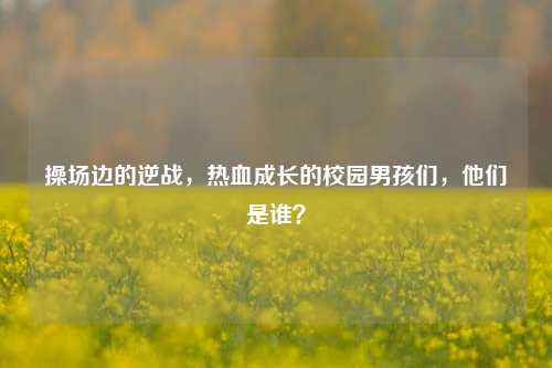 操场边的逆战,热血成长的校园男孩们,他们是谁?