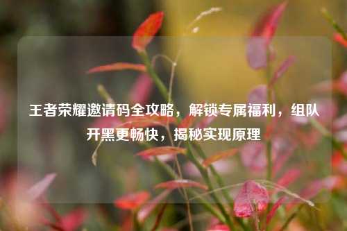 王者荣耀邀请码全攻略，解锁专属福利，组队开黑更畅快，揭秘实现原理