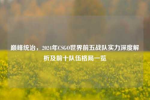 巅峰统治,2024年CSGO世界前五战队实力深度解析及前十队伍格局一览